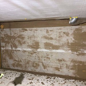 Lehmputz mit Wandfächenheizung